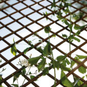 Kép 9/10 - Nortene Willow Trellis térelválasztó
