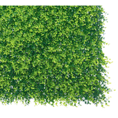 Nortene Vertical buxus zöldfal buxus levelekkel