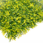 Kép 2/7 - Nortene Vertical buxus zöldfal buxus levelekkel (100x100cm)