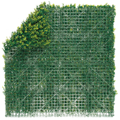 Nortene Vertical buxus zöldfal buxus levelekkel