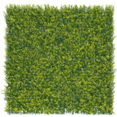 Kép 5/7 - Nortene Vertical buxus zöldfal buxus levelekkel