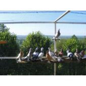 Kép 3/3 - Nortene Volier háló BOP 167/400 háló, fekete, 4x300m