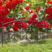 Kép 2/2 - Nortene Royal Border fém szegély 40 cm x 100 cm
