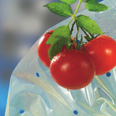 Nortene Tomatotube paradicsomtermesztő perforált fóliatömlő