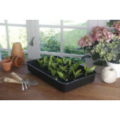 Kép 6/6 - Nortene Rapid Grow mini üvegház palántáknak, 38 x 24 x 19 cm
