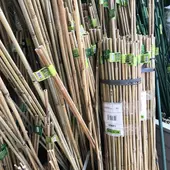 Kép 2/4 - Nortene Bamboo bambusz termesztő karó  ( 1 db ) Ø 12-14 mm x M. 1,80 m