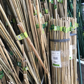 Kép 2/3 - Nortene Bamboo bambusz termesztő karó  (2 db karó / köteg), Ø 10-12 mm x M. 1,50 m