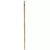 Kép 3/4 - Nortene Bamboo bambusz termesztő karó  ( 1 db ), Ø 16-18 mm x M. 2,1 m