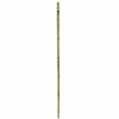 Kép 3/4 - Nortene Bamboo bambusz termesztő karó  ( 1 db ), Ø 16-18 mm x M. 2,1 m