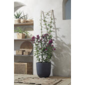 Kép 3/5 - Nortene Echelle bamboo, bambusz növénylétra 150x40 cm