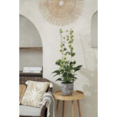 Kép 4/5 - Nortene Echelle bamboo, bambusz növénylétra 150x40 cm