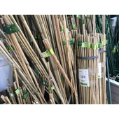 Nortene Bamboo bambusz termesztő karó (6 db karó/csomag), Ø 6-8 mm x M. 0,60 m Natur Fa