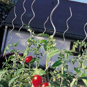 Kép 1/7 - Nortene Tomato Spiral  paradicsom karó