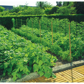 Kép 2/5 - Nortene Trellinet növénytartó háló, uborkaháló, rácsméret 150x170 mm, 1,7 x 10, Zöld