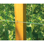 Kép 3/5 - Nortene Trellinet növénytartó háló, uborkaháló, rácsméret 150 x 150 mm,  1,2 x 5m, Zöld