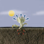 Kép 3/4 - Nortene Terrafilm talajtakaró fólia, 1,4x10, Fekete