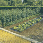 Kép 2/4 - Nortene Terrafilm talajtakaró fólia, 1,4x10, Fekete