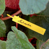 Kép 1/2 - Nortene Tree Label függő címke