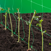 Kép 1/5 - Nortene Trellinet növénytartó háló,uborkaháló,rácsméret 150 x 150 mm