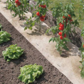 Kép 1/5 - Nortene Chanvrelin (Flexhemp) 500 természetes talajtakaró 500 g/m² 0,75 x 5 m