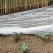 Kép 4/5 - Nortene Biocontrol rovarháló