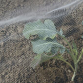 Kép 5/5 - Nortene Biocontrol rovarháló