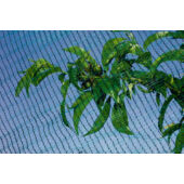 Kép 2/4 - Nortene Hailnet hurkolt, jégkár elleni védőháló, 3 x 100, Zöld