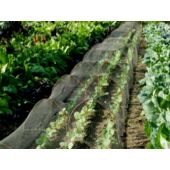 Kép 3/4 - Nortene Hailnet hurkolt, jégkár elleni védőháló, 3 x 100, Zöld