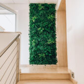 Kép 18/18 - Nortene Vertical Tropic Természetes hatású zöldfal  trópusi növényekkel