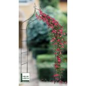 Kép 3/3 - Rózsakapu 255x140x38cm