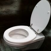 Kép 2/4 - Kagylós fém zsanéros MDF WC ülőke