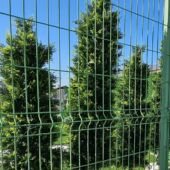Kép 12/13 - Élethű Smaragd Tuja 180 cm