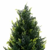 Kép 3/13 - Élethű Smaragd Tuja 180 cm