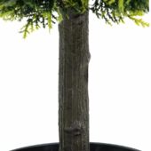 Kép 5/13 - Élethű Smaragd Tuja 180 cm