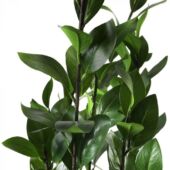 Kép 2/5 - New Garden feltörő ficus műnövény 120 x 40 cm
