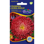 Kép 1/2 - Rédei KErtimag Prinzess Piros Őszirózsa vetőmag 1g