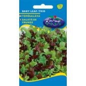 Kép 1/2 - Rédei Kertimag Tépősaláta Baby Leaf Saláta Trio 3g