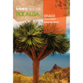 Kép 1/2 - Rocalba Dragó Pálma / Sárkányfa 4 szem mag