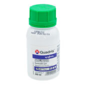 Kép 1/2 - Quadris gombaölő 200 ml