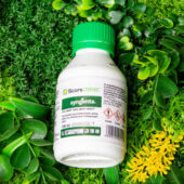 Kép 2/2 - Score 250 EC gombaölő szer 100 ml