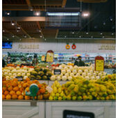 Kép 4/4 - Gleecon THOR GA-30E szúnyogcsapda 100m2 területre