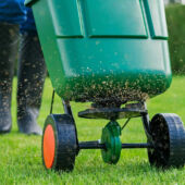 Kép 2/2 - Substral Easygreen univerzális szórókocsi 12 liter