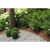 Kép 4/7 - Ecolat kőhatású tó és ágyásszegély 25 m x 14 cmx0