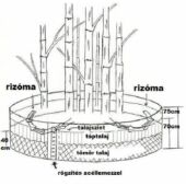 Kép 5/5 - Gyökérvédelem, gyökércsapda HDPE, bambusz-szegély, 70cm x 3m, 1,2mm vastag