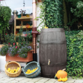 Kép 2/9 - Esővízgyűjtő &quot;Barrique&quot; 250 L sötétbarna, kis hordó csap nélkül