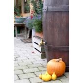 Kép 7/9 - Esővízgyűjtő &quot;Barrique&quot; 250 L sötétbarna, kis hordó csap nélkül