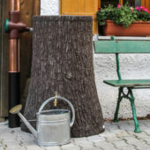 Kép 5/5 - Esővízgyűjtő &quot;Little Tree&quot; 250 L sötétbarna, kis fatörzs csap nélkül