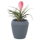 Kép 3/5 - Tramontina egipcio kaspó ø 37,5 cm x 39 cm - grafit