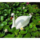 Kép 2/2 - Ubbink Úszó fehér hattyú, 46 cm - Élethű műanyag madárfigura