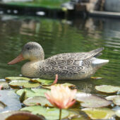 Kép 1/3 - Ubbink Úszó vadkacsa nőstény, 39 cm - Élethű madár figura - csalimadár